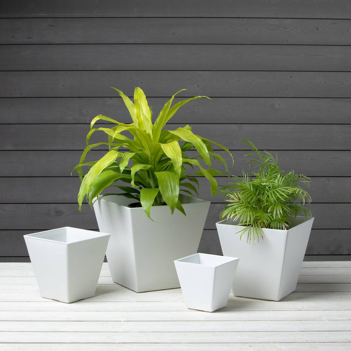 square planter boxes indoor Ella Square Pot - White