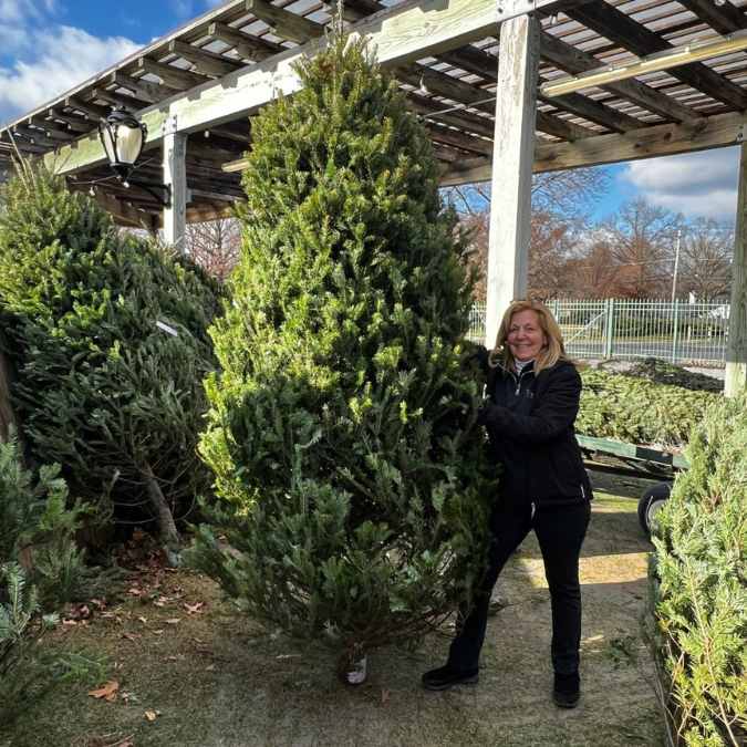 A woman stands outdoors smiling beside an 8-9 ft. Premium Balsam Fir Real Christmas Tree, available for pick-up & delivery. Other trees and a wooden pergola are in the background under a partly cloudy sky.