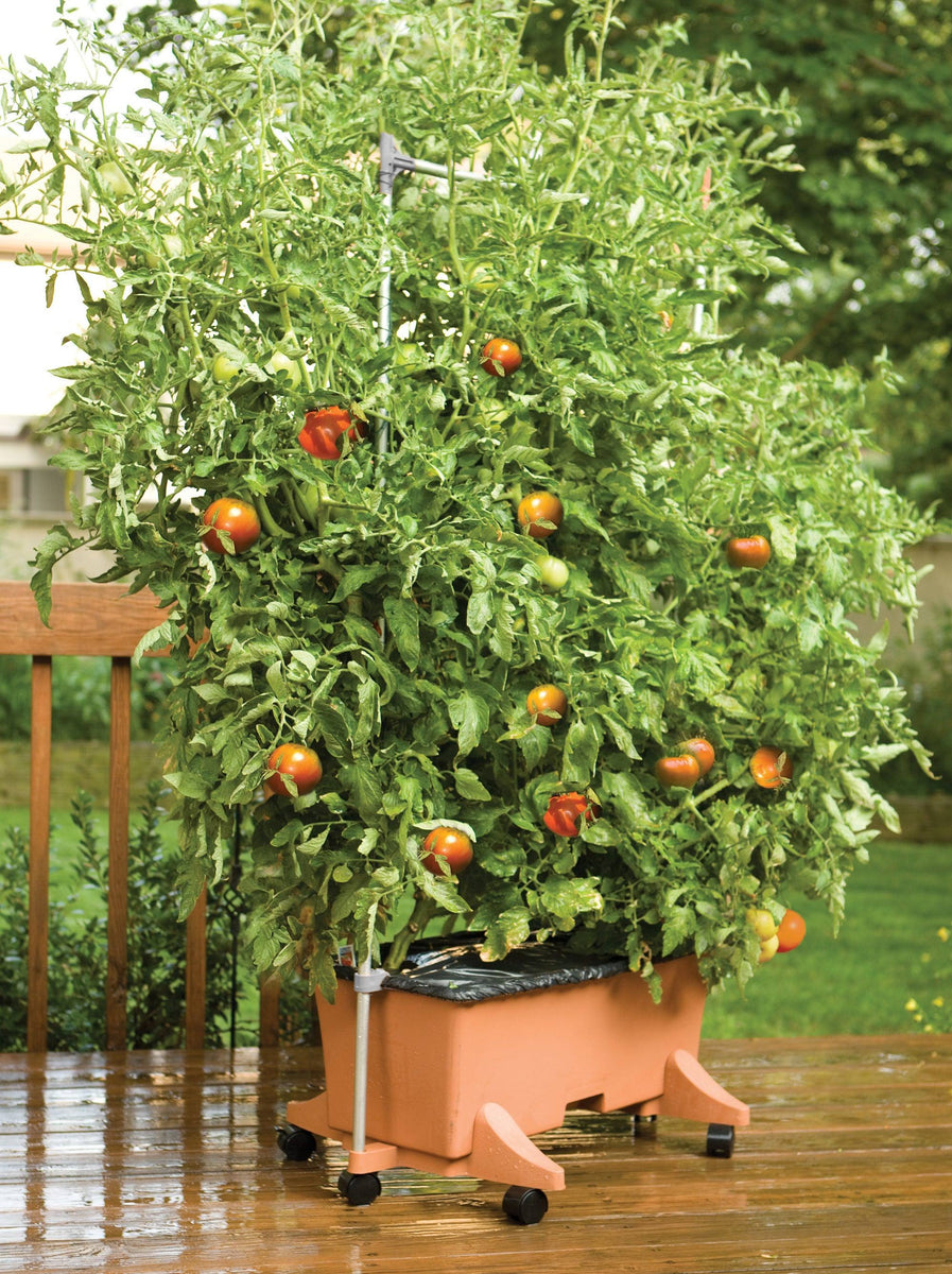 earthbox approved potting mix Earthbox Container Gardening System