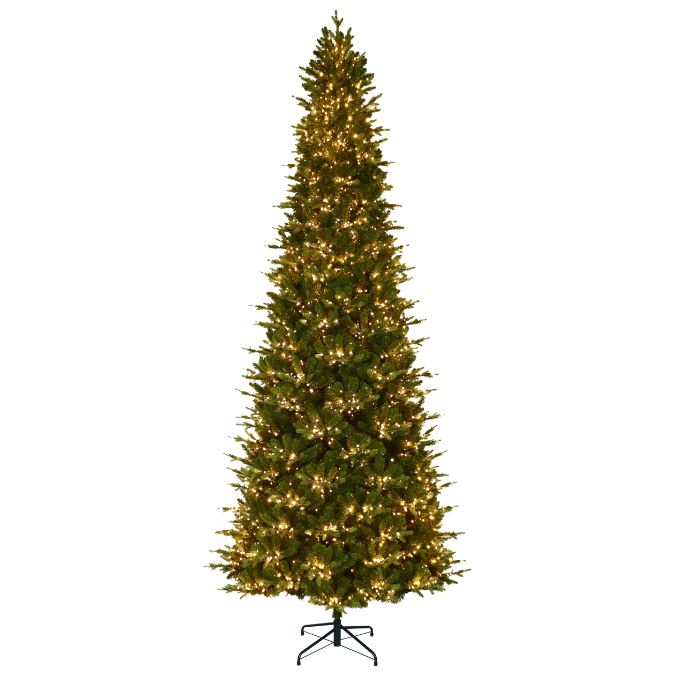 A tall, slim 12 Ft. Alberta Spruce Slim Multi-Function Lights artificial Christmas tree with warm white lights on a metal stand.