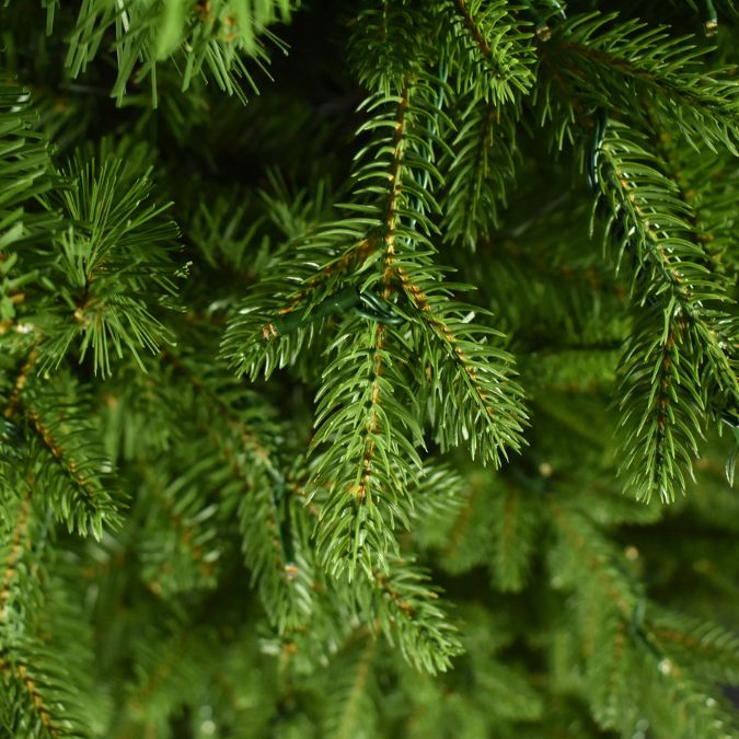 Close-up of lifelike Balsam Fir Multi-Function Light 6.5 Ft. artificial Christmas tree branches with integrated light wiring.