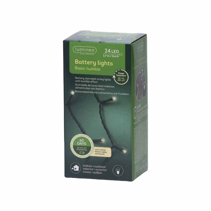 A green box of Durawise Battery Operated LED Twinkle String Lights Warm White contains 24 LEDs, ideal for indoor or outdoor holiday décor. Available for Pickup & Delivery; the box shows details and photos of the glowing lights.