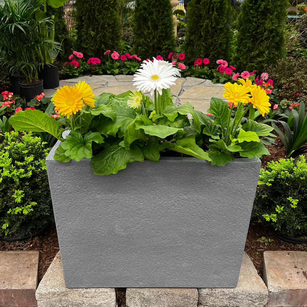 The Pickup & Local Delivery Only Blackburn Divider Planter in grey (26x10) is filled with green foliage and yellow and white gerbera daisies, set among garden flowers, shrubs, and a stone pathway.