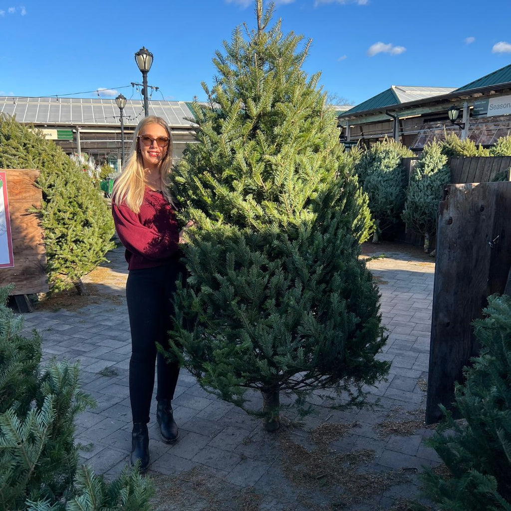 A woman in sunglasses and a maroon sweater stands next to a Premium Balsam Fir Real Christmas Tree (6-7 ft.) at an outdoor lot, surrounded by other trees, with buildings and a blue sky in the background. Available for Pick-Up & Delivery.
