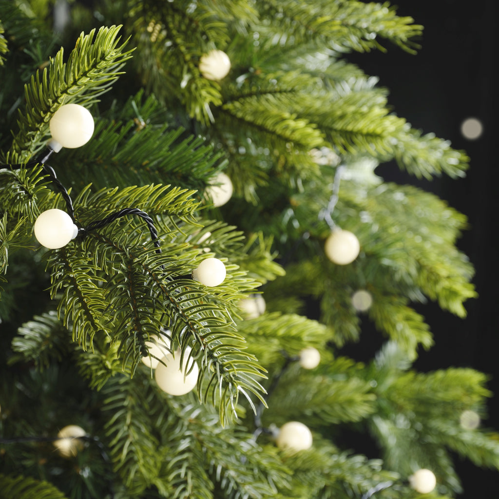 Close-up of pine branches decorated with Cherry LED 120 ct. String Lights Warm White by Available for Pickup & Delivery. The green needles pop against a dark background, highlighting the warm white glow of the Christmas lights.