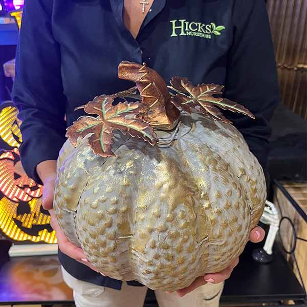 A person in a black Hicks Nurseries shirt holds a round metal pumpkin with a textured surface and gold stem. Partially visible glowing fall decor complements the scene. Brand: Available for Pick-Up & Delivery.