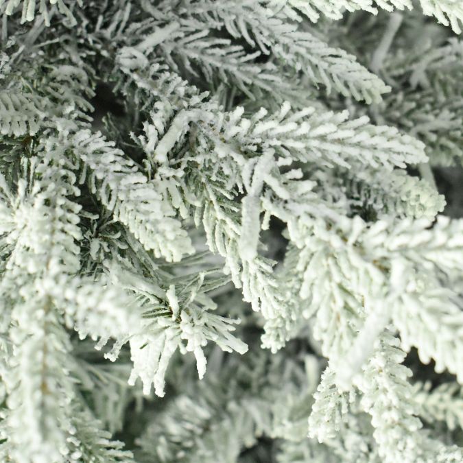 Close-up of Nordic Flocked Fir Multi-Function Lights 5 Ft. artificial tree branches covered in white flocking.