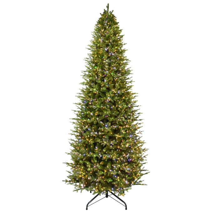 An eleven-foot tall, lifelike Rocky Mountain Fir Multi-Function Lights 11 Ft. Christmas tree pre-lit with multi-colored lights.