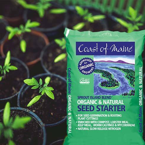 maine garden seed companies Coast of Maine - Organic Seed Starter