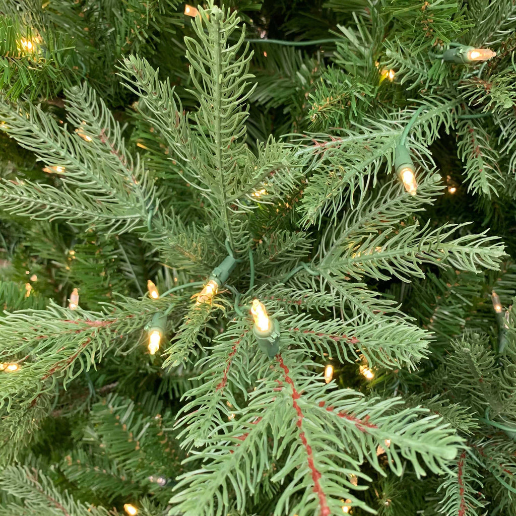 Close-up of the Douglas Fir Multi-Function 7.5 Ft., featuring lush green needles and red-tinted stems, beautifully lit with multi-function lights. Available for Pick-Up & Delivery.