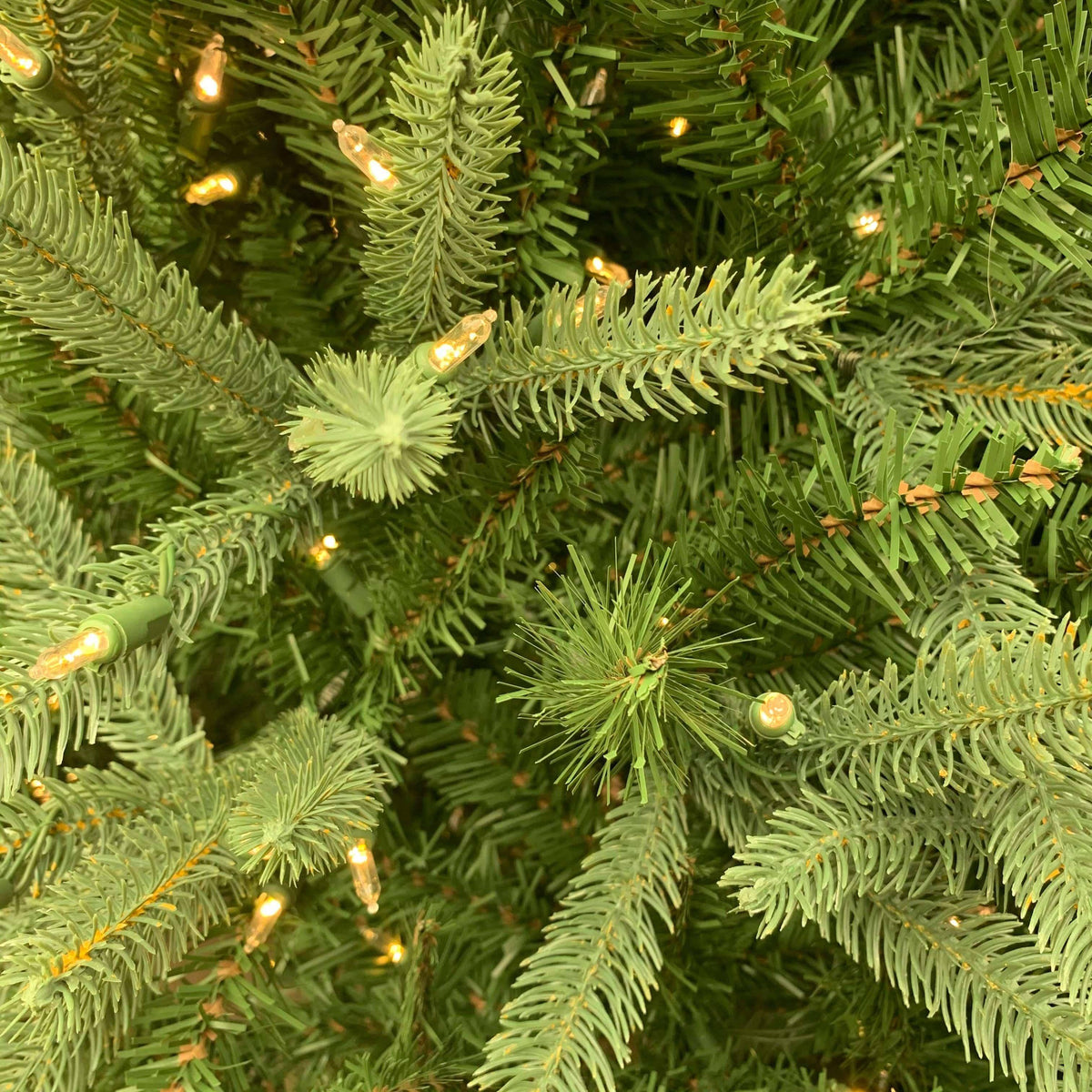 Kensington Fir MultiFunction Lights 7 ft.