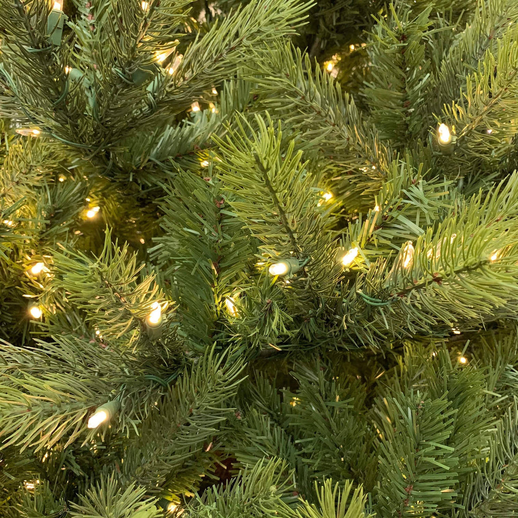 A close-up of the 10 ft. Ashville Fir, available for pick-up and delivery, shows densely covered branches with warm white LED lights casting a cozy glow over rich evergreen needles for a festive atmosphere.