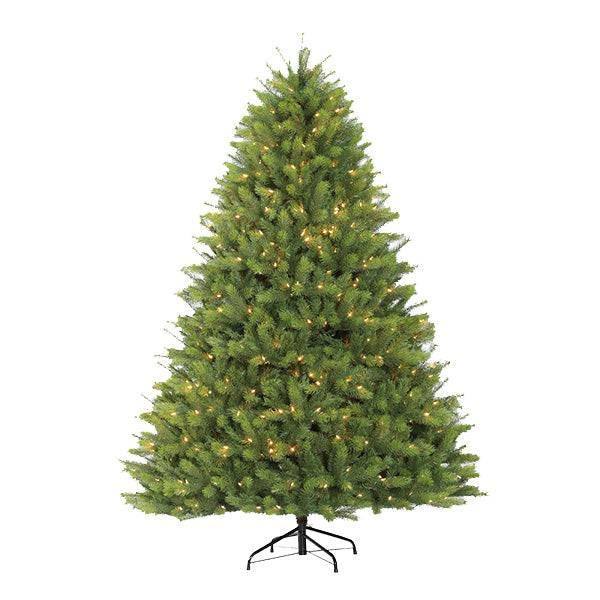 The 7.5 ft. Montauk Fir tree has a conical shape and warm green needles adorned with LED lights, set on a black metal stand, creating a classic holiday ambiance. Available for pick-up & delivery.