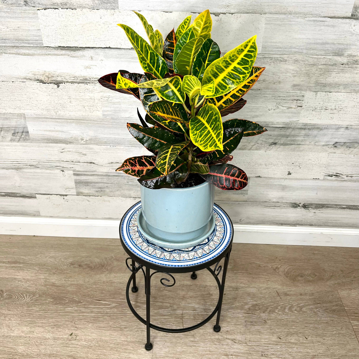 black indoor plant stand Plant Stand – Black Metal with Enamel Design – 14-inches