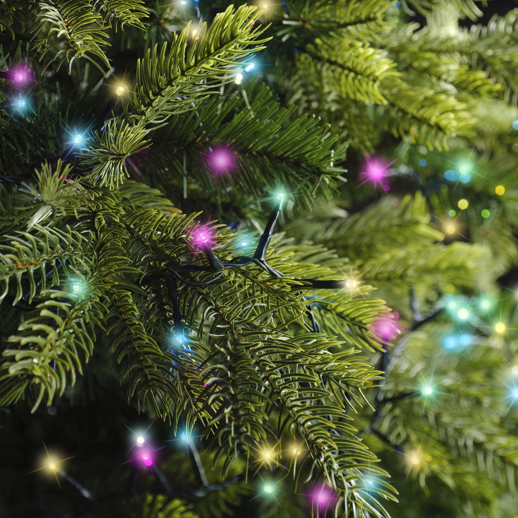 Close-up of green pine branches decorated with LED 1000 ct. Compact String Lights Twinkle Rainbow by Available for Pick-Up & Delivery, featuring vibrant blue, pink, yellow, and white lights for a festive holiday atmosphere.