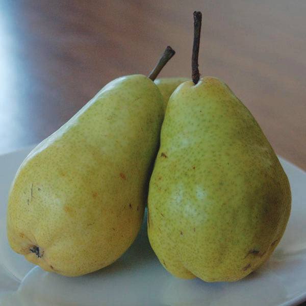Two Bartlett pears from Pickup & Local Delivery Only, known for their sweet flavor, are placed side by side on a white plate with a blurred brown background.