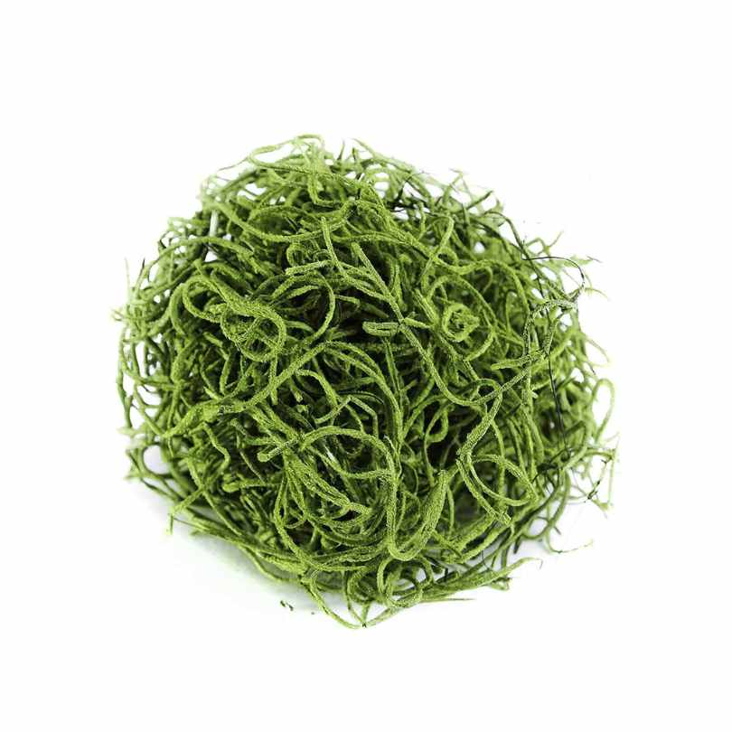 A close-up of SuperMoss® Spanish Moss Grass (2 oz) by Available for Pick-Up & Delivery, showing tangled dried green strands resembling decorative moss on a white background.