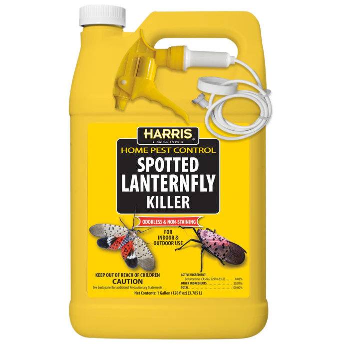 128 fl. oz. yellow container of Pickup & Local Delivery Only Spotted Lanternfly Killer – Ready-to-Use, with spray nozzle and images of lanternflies, highlights a non-staining formula for indoor/outdoor use.