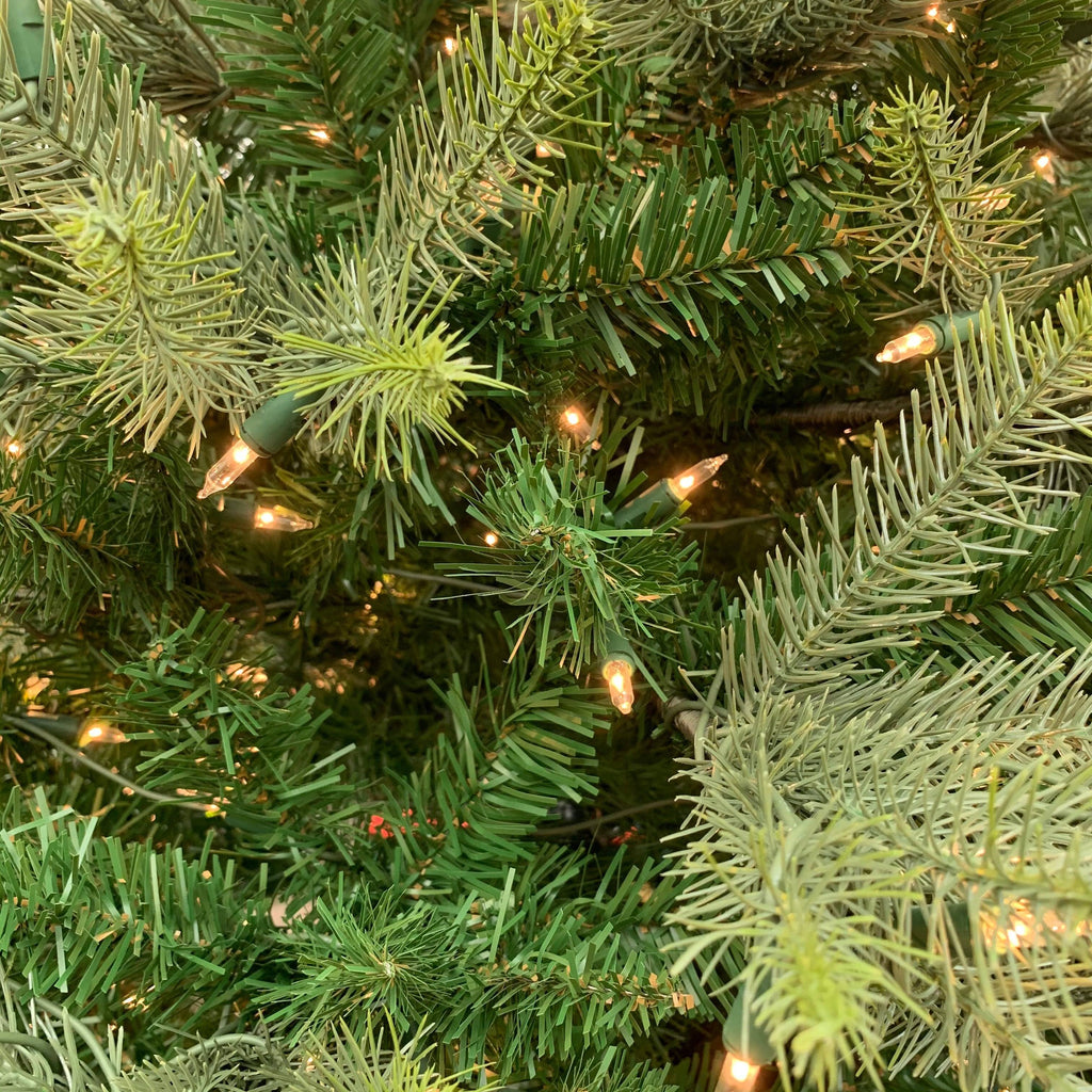 A close-up of the lush 7.5 ft. Wyoming Fir, adorned with radiant multi-function lights. Its lifelike green needles create a vibrant and festive ambiance, ideal for holiday celebrations. Available for pick-up & delivery.