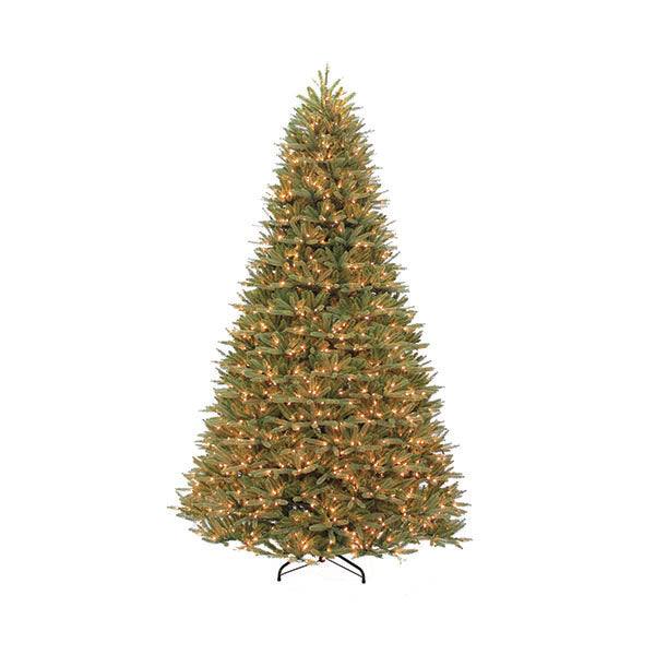 The 7.5 ft. Wyoming Fir by Available for Pick-Up & Delivery, with warm white LED lights and a black metal stand, creates a lush festive ambiance against a white background with its tall conical shape and evenly distributed illumination.
