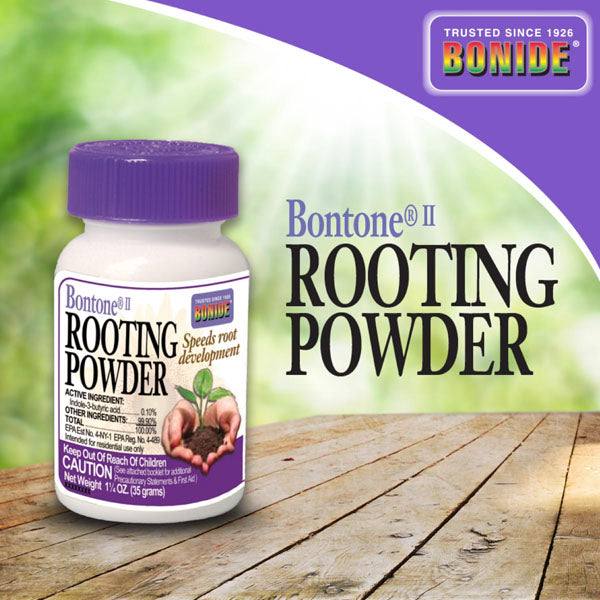 A 1.25 oz. bottle of Bonide Rooting Powder rests on a wooden surface, its Root Stimulator label clear, with vibrant greenery and the All Delivery Options brand logo providing an inviting display for plant lovers.