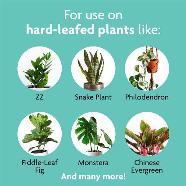 miracle-gro philodendron Miracle-Gro® - Leaf Shine