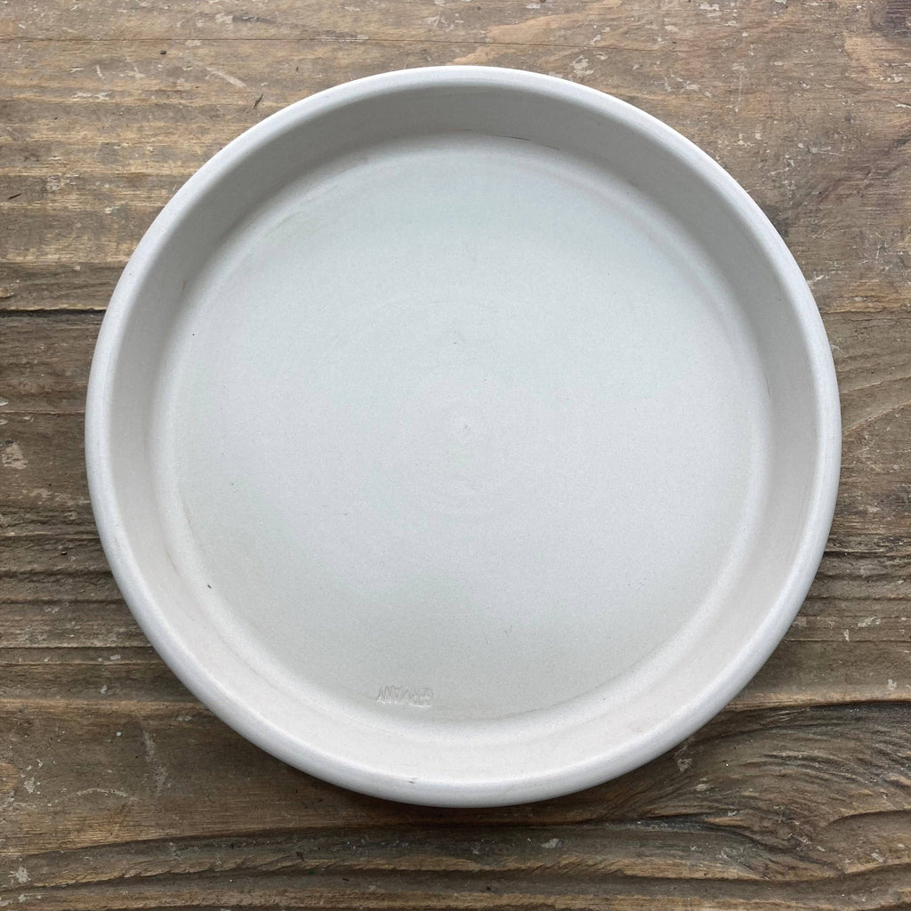 A clay granite saucer for a 4-inch pot from Available for Pick-up & Delivery sits on a rustic wooden surface, viewed from above, adding a modern decor touch.