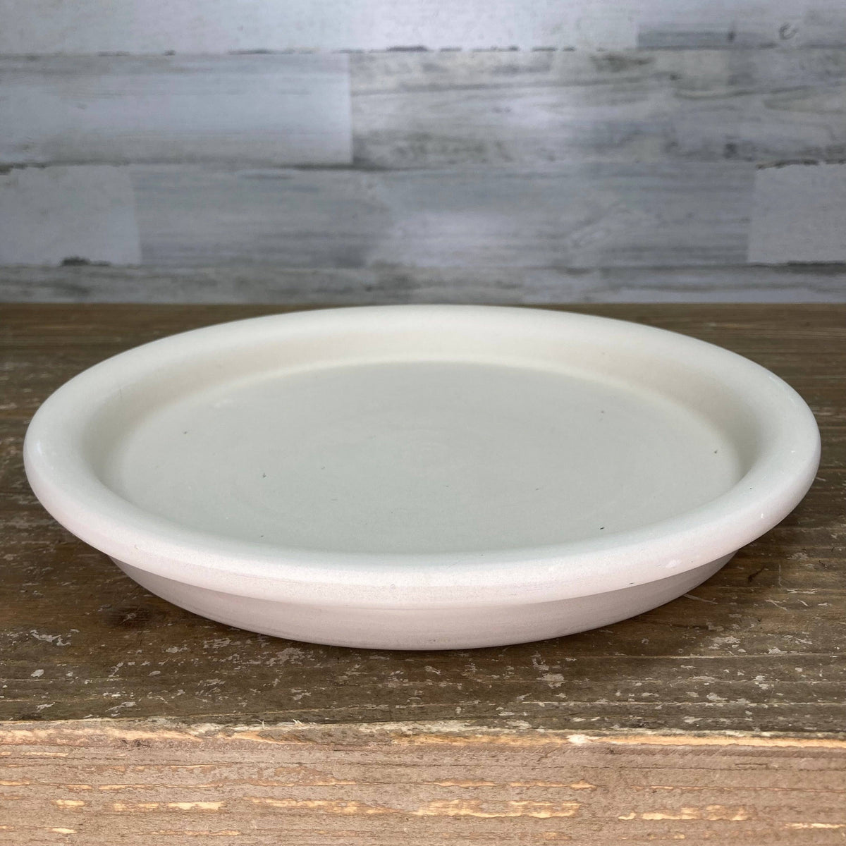 13 inch ceramic plant saucer Saucer - Clay - Granite