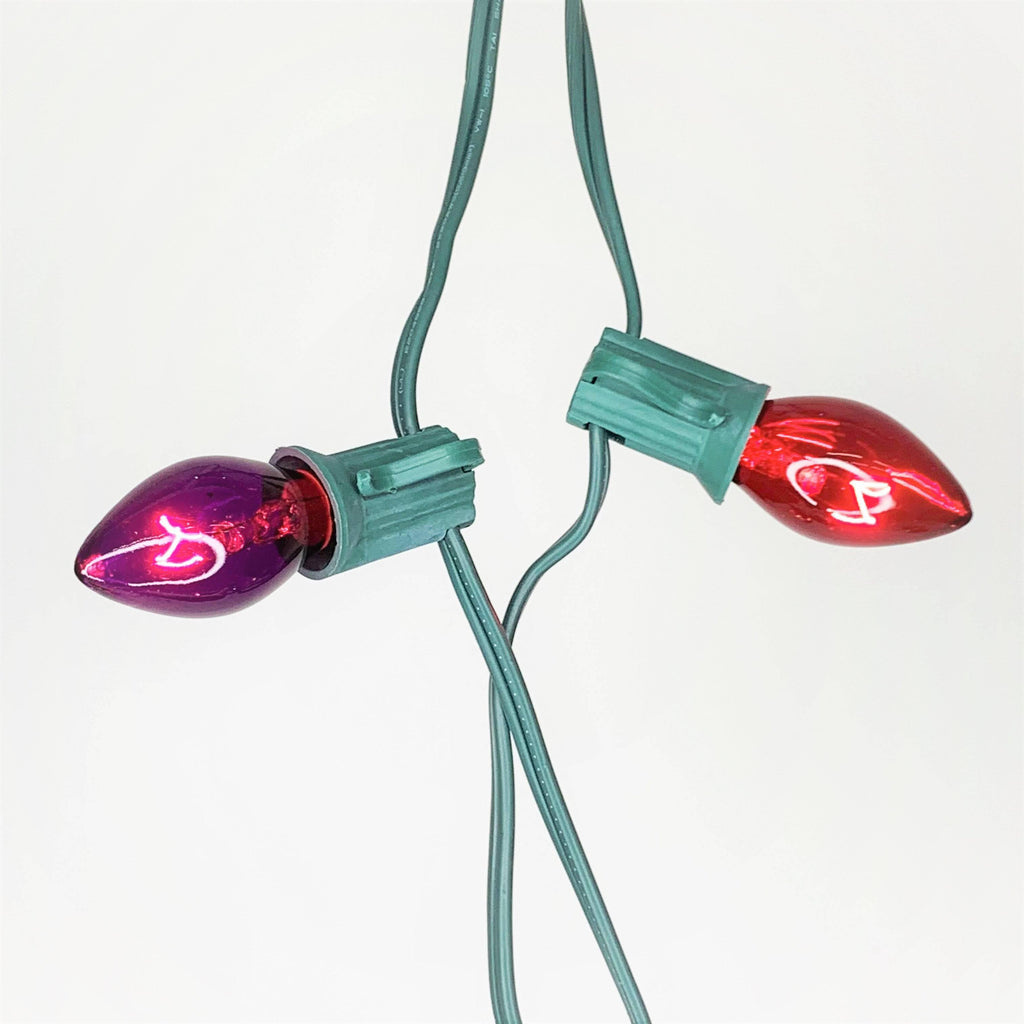C9 25 ct. String Lights Transparent Multi-Colored - Hicks Nurseries