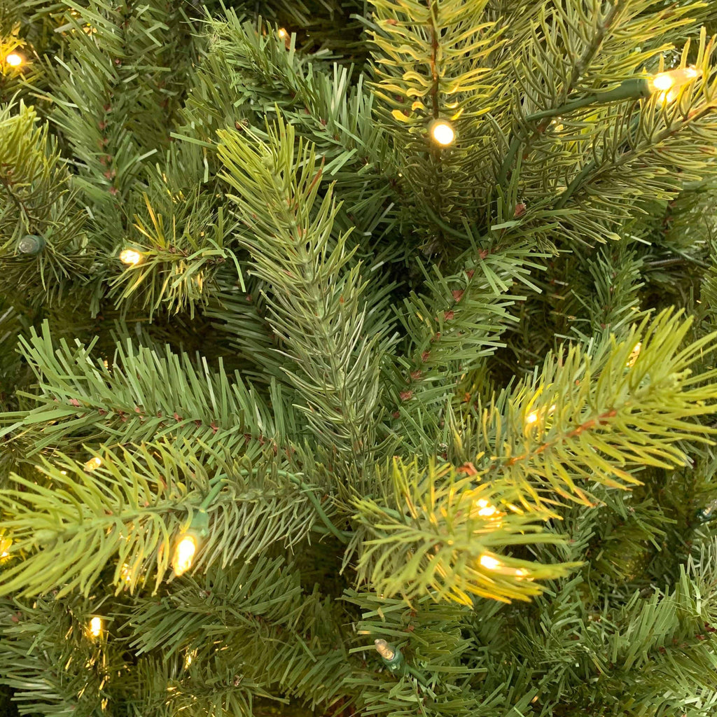 Sussex Balsam Warm White LED Lights 7 ft. - Hicks Nurseries