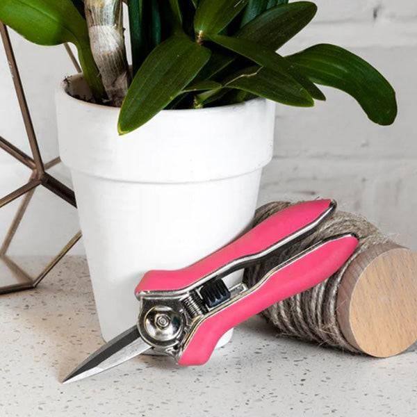 Burgon & Ball - Orchid Snips - Hicks Nurseries