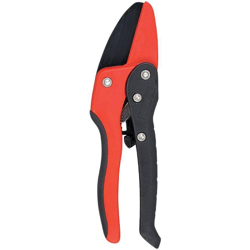 Corona® - Ratchet Pruner - 3/4