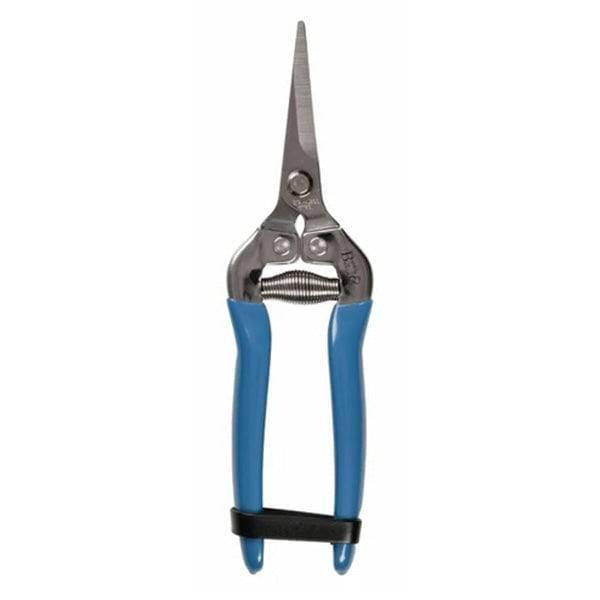 Gardening Snip - British Meadow - Hicks Nurseries