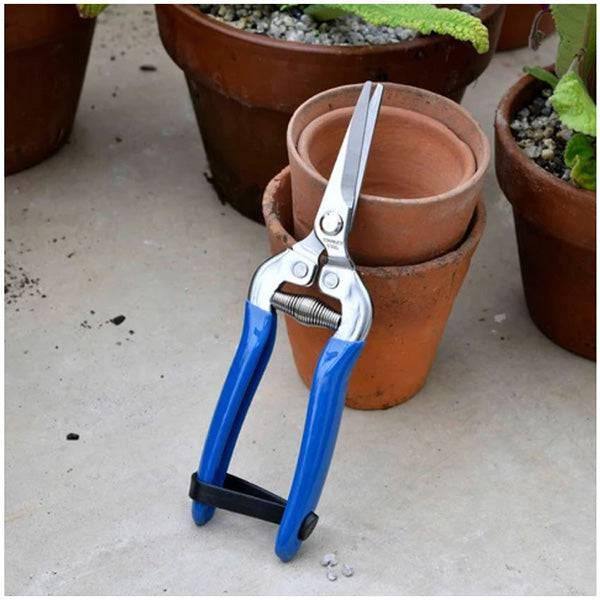 Gardening Snip - British Meadow - Hicks Nurseries