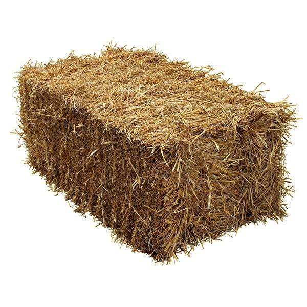 Straw Bale - Large - Hicks Nurseries