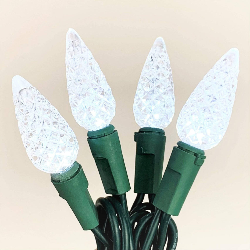 C6 LED 50 ct. String Lights White - Hicks Nurseries