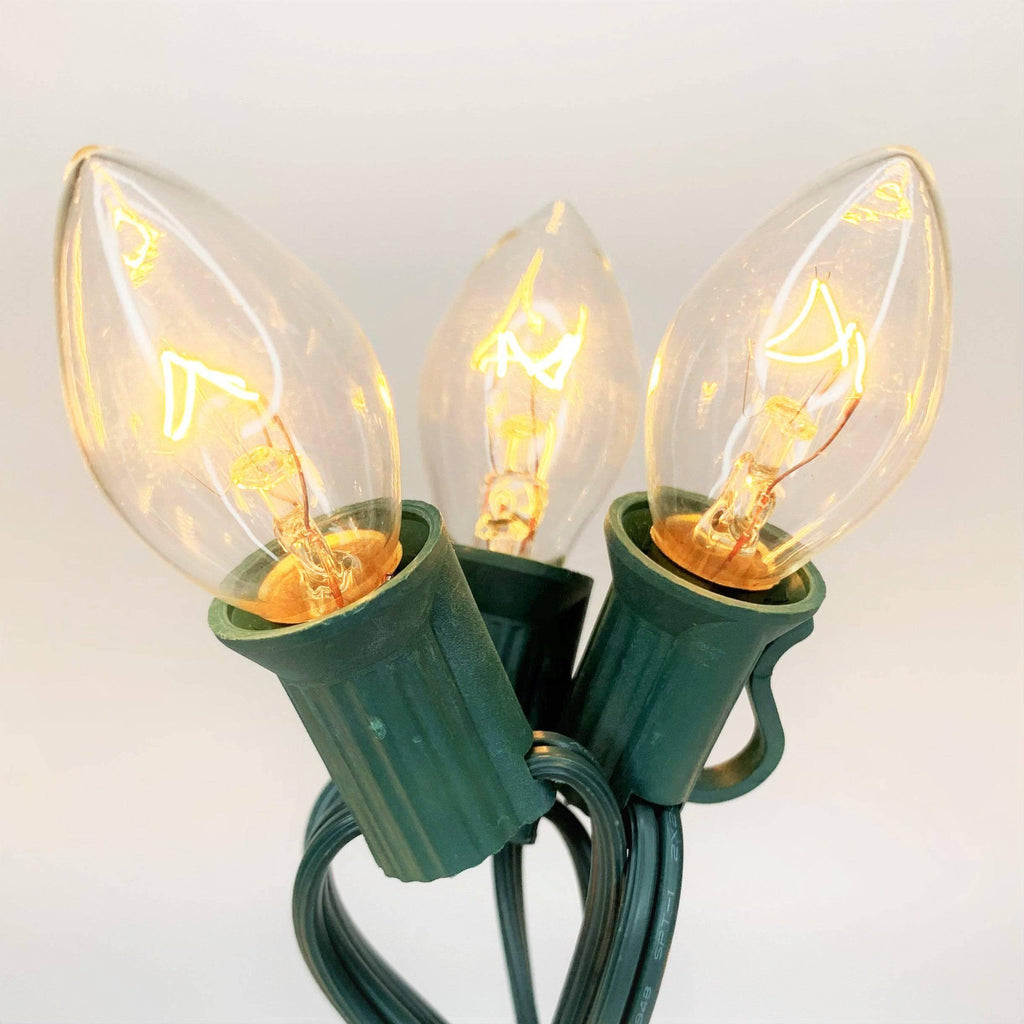 C7 25 ct. String Lights Transparent Clear - Hicks Nurseries