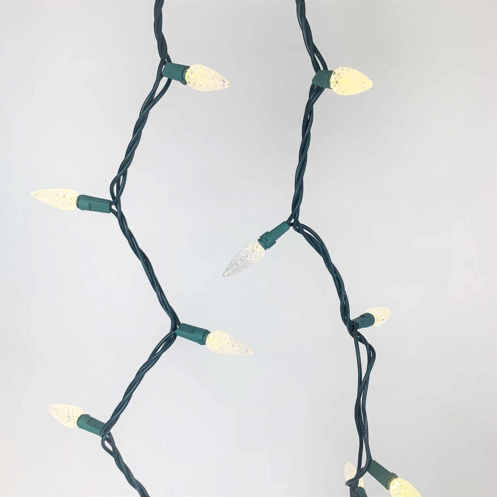 C9 LED 25 ct. String Lights Warm White - Hicks Nurseries