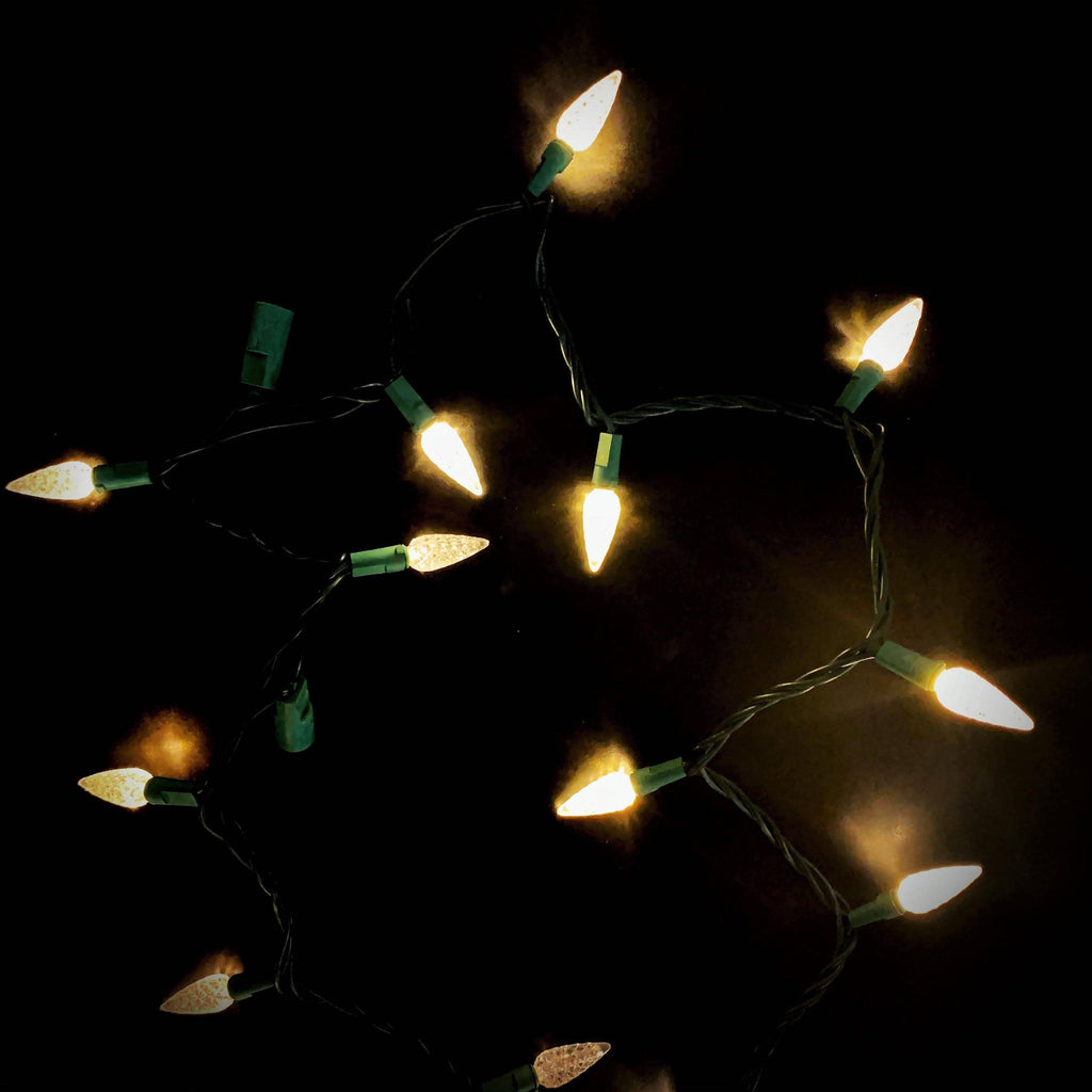 C9 LED 25 ct. String Lights Warm White - Hicks Nurseries
