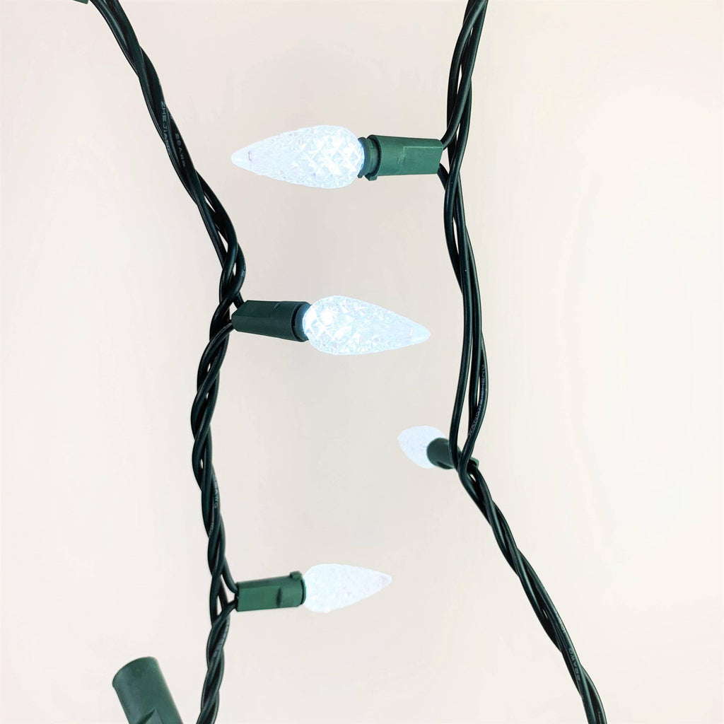 C9 LED 25 ct. String Lights White - Hicks Nurseries