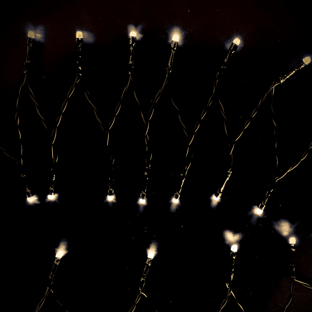 Durawise Battery Operated LED Twinkle String Lights Warm White - Hicks Nurseries