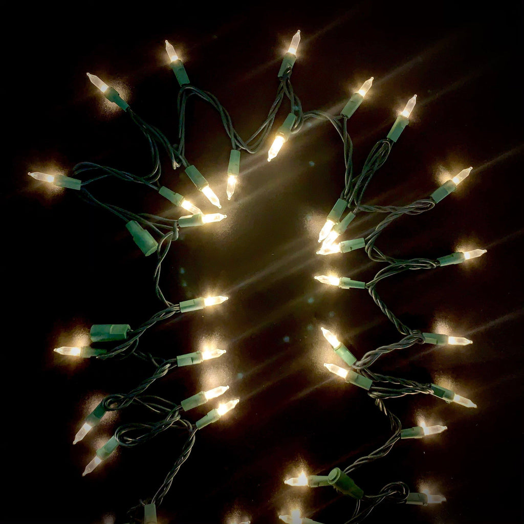 Incandescent Style LED 200 ct. String Lights Warm White - Hicks Nurseries