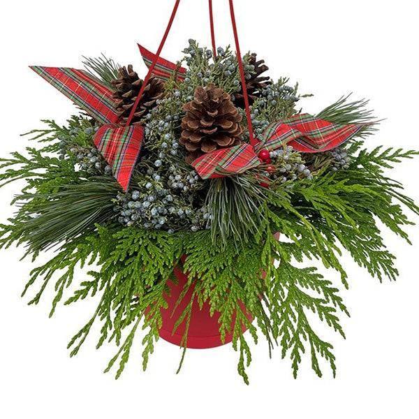 Mixed Fresh Greens Hanging Basket - 10-inch - Hicks Nurseries