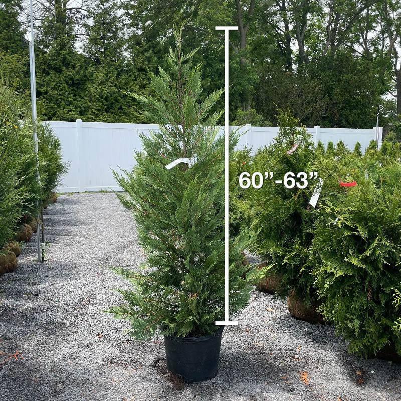 Did I do a decent job? : r/pcmasterrace Cypress 7