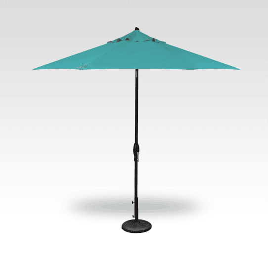 Aruba - Black Pole - 9ft - Hicks Nurseries