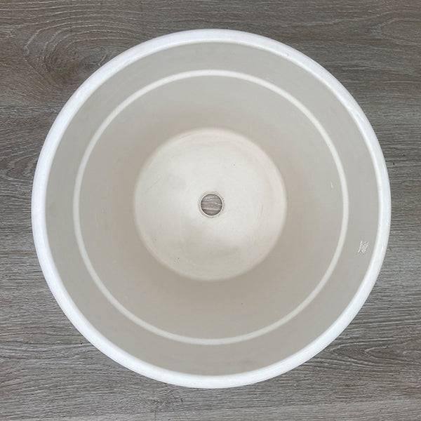 Calima Clay Pot - White - 12-inch - Hicks Nurseries