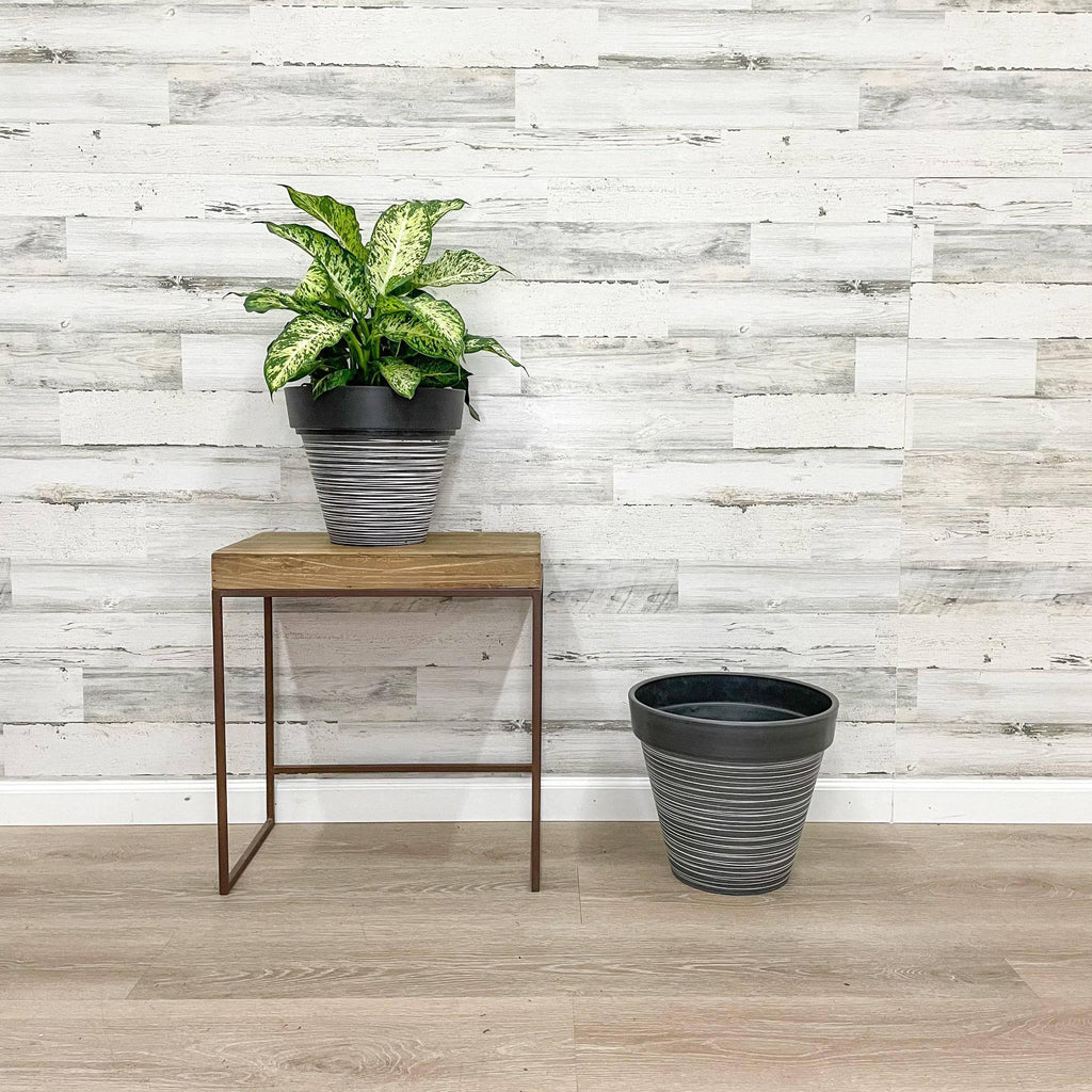 Carve Finish Planter - Grey - 12-inch - Hicks Nurseries