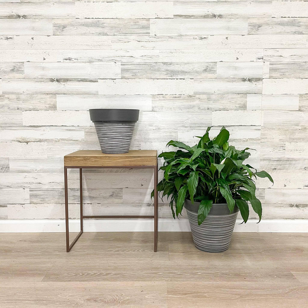 Carve Finish Planter - Grey - 14-inches - Hicks Nurseries