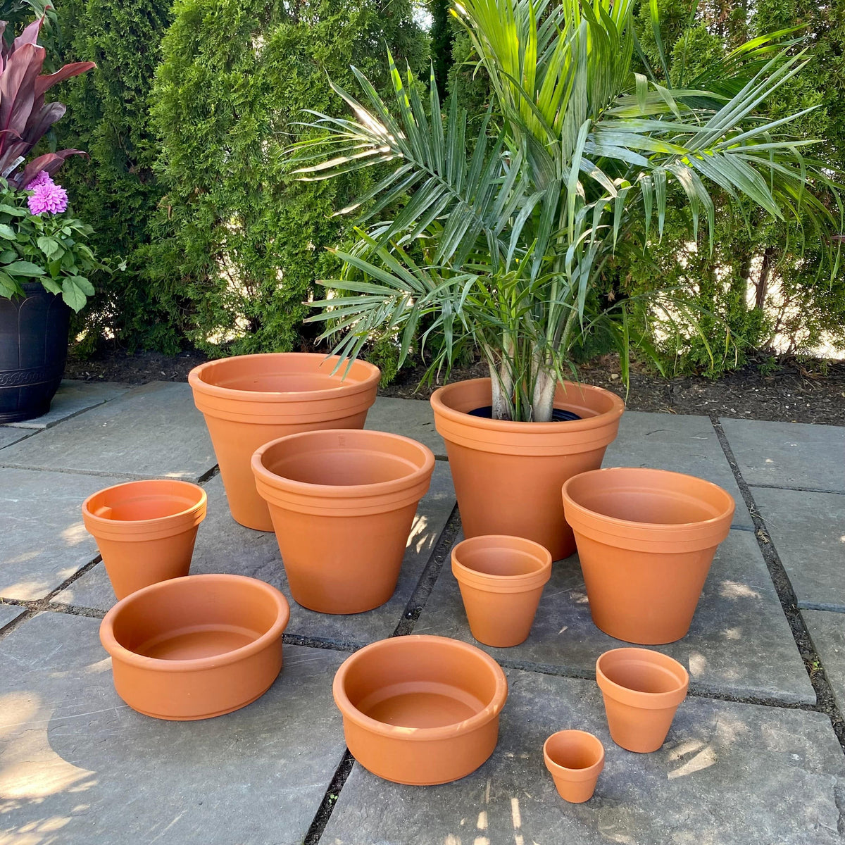 Clay pot - 6-inch