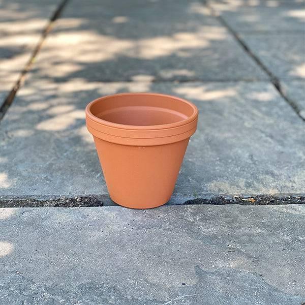 Síntomas Humilde El principio Clay pot - 6-inch